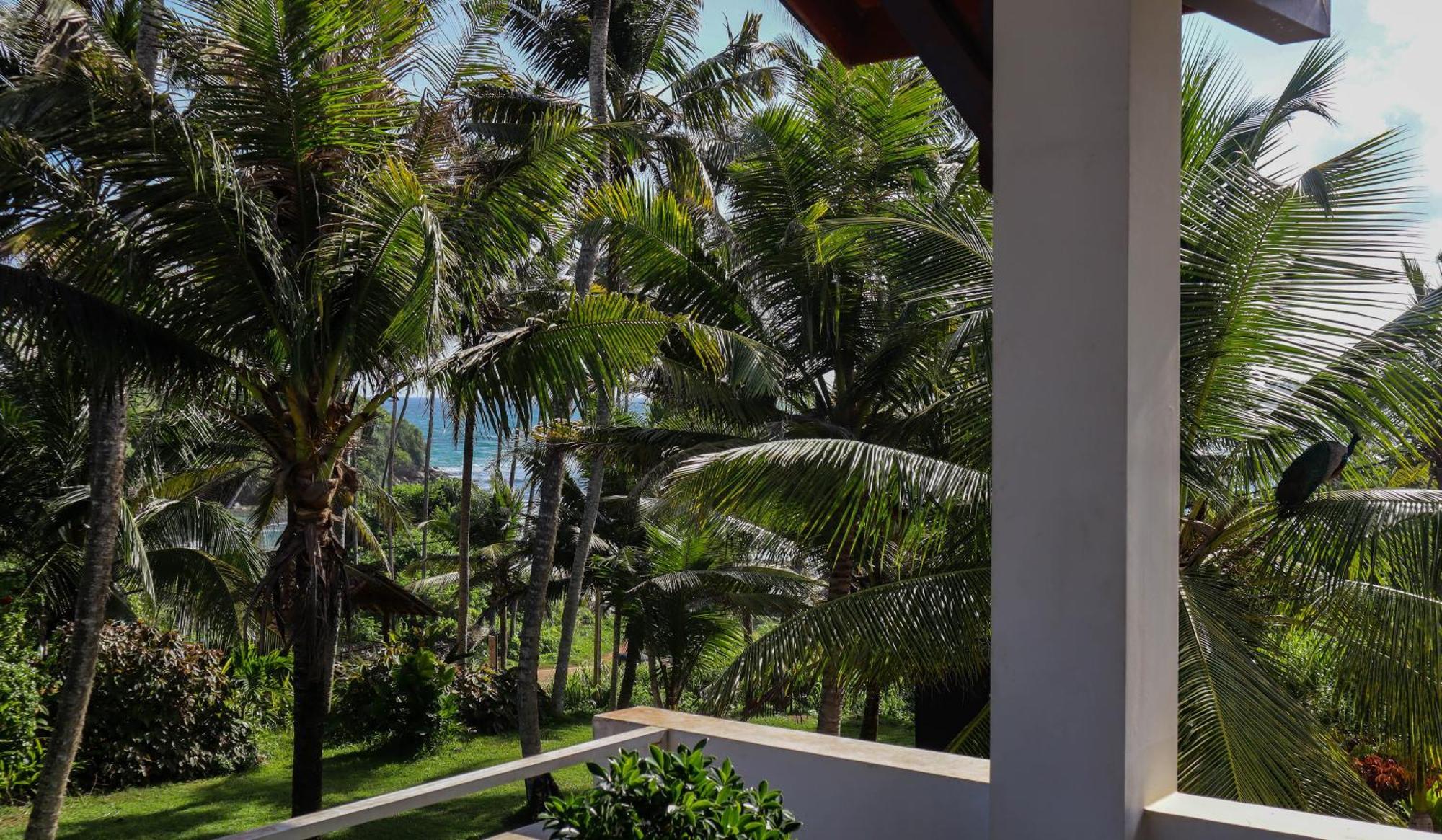 Singhe House Hotel Dikwella Ngoại thất bức ảnh