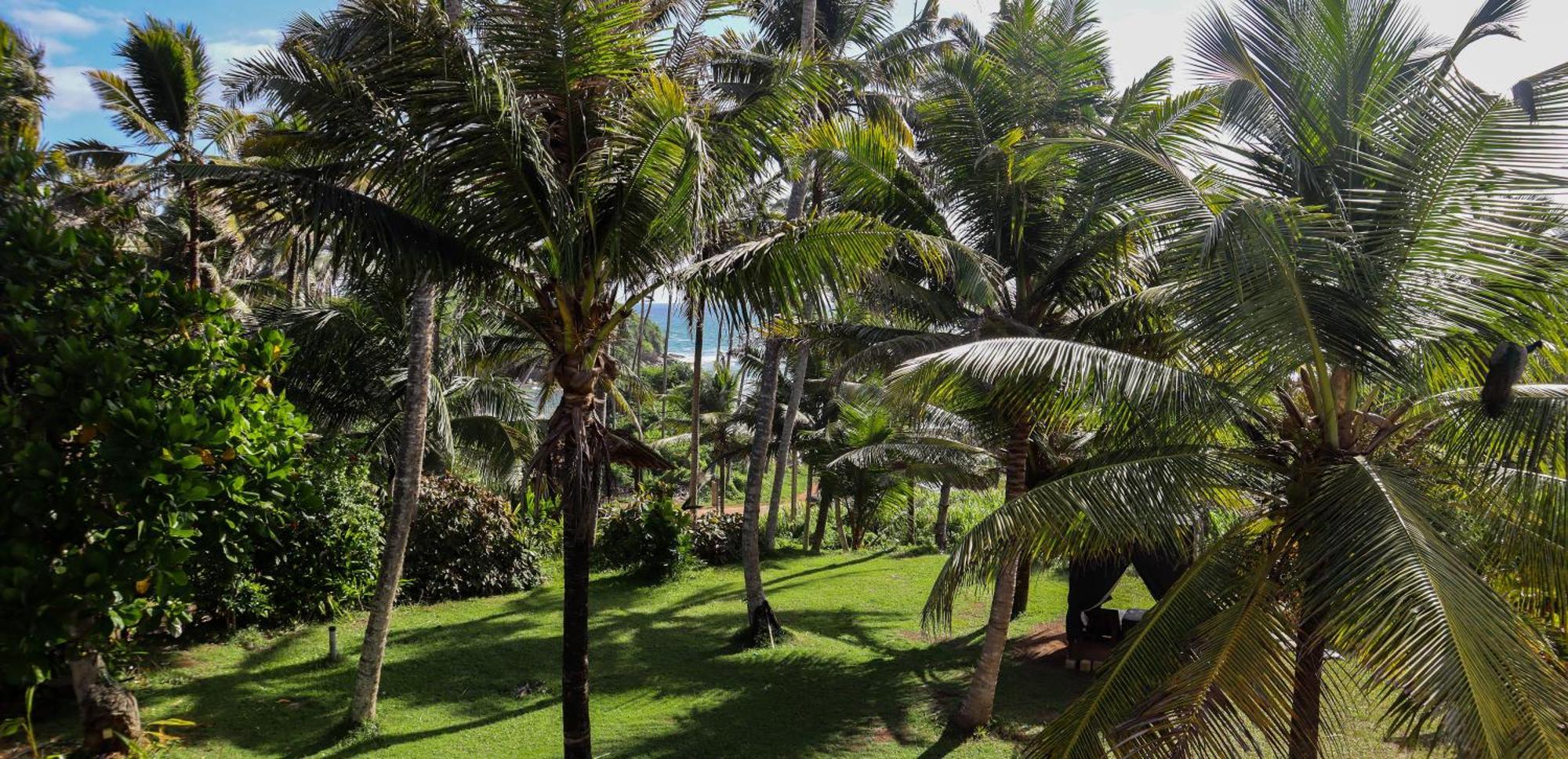 Singhe House Hotel Dikwella Ngoại thất bức ảnh