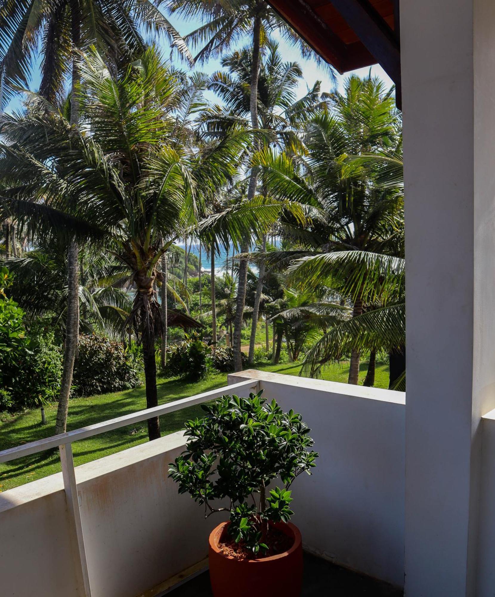 Singhe House Hotel Dikwella Ngoại thất bức ảnh