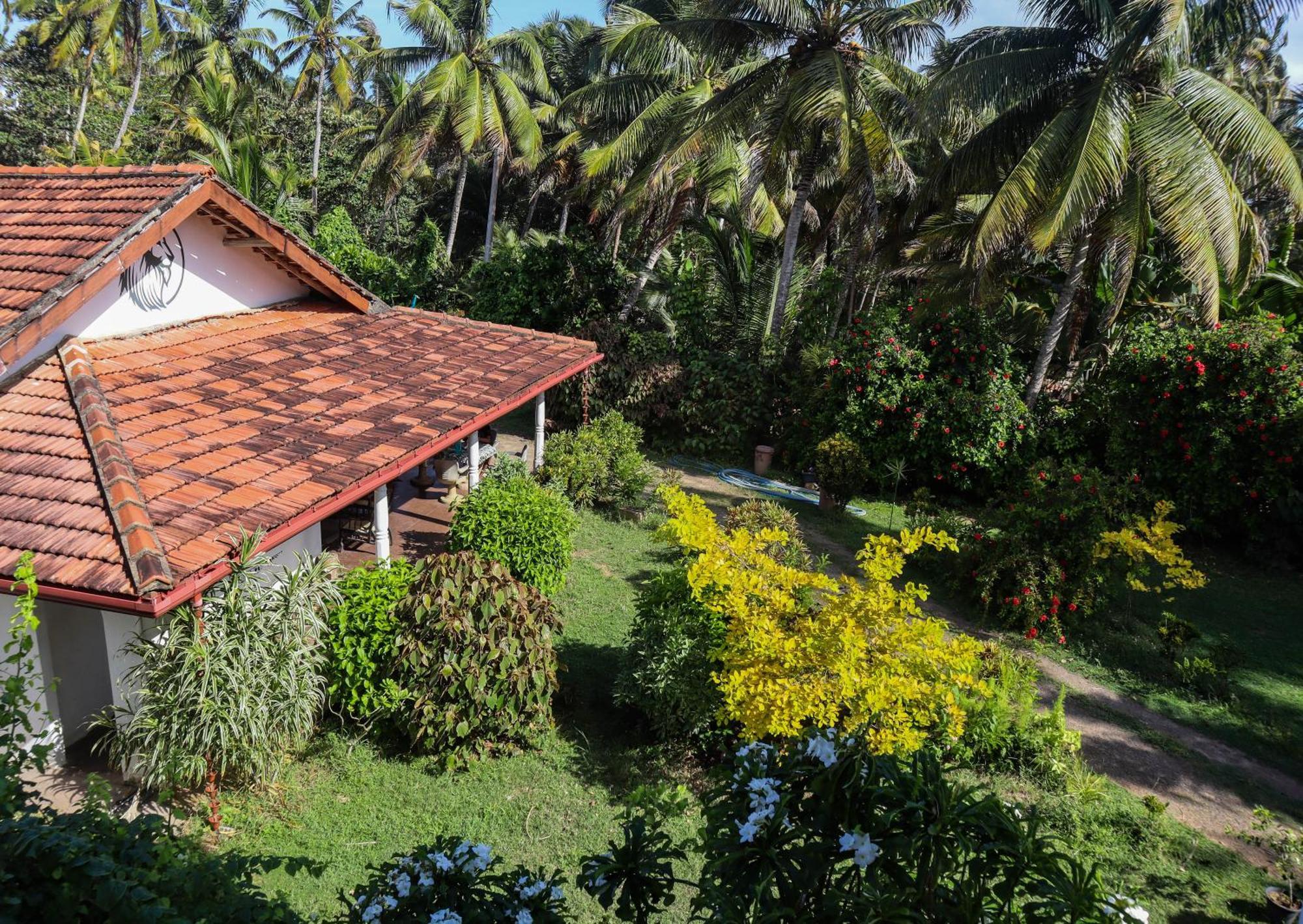 Singhe House Hotel Dikwella Ngoại thất bức ảnh