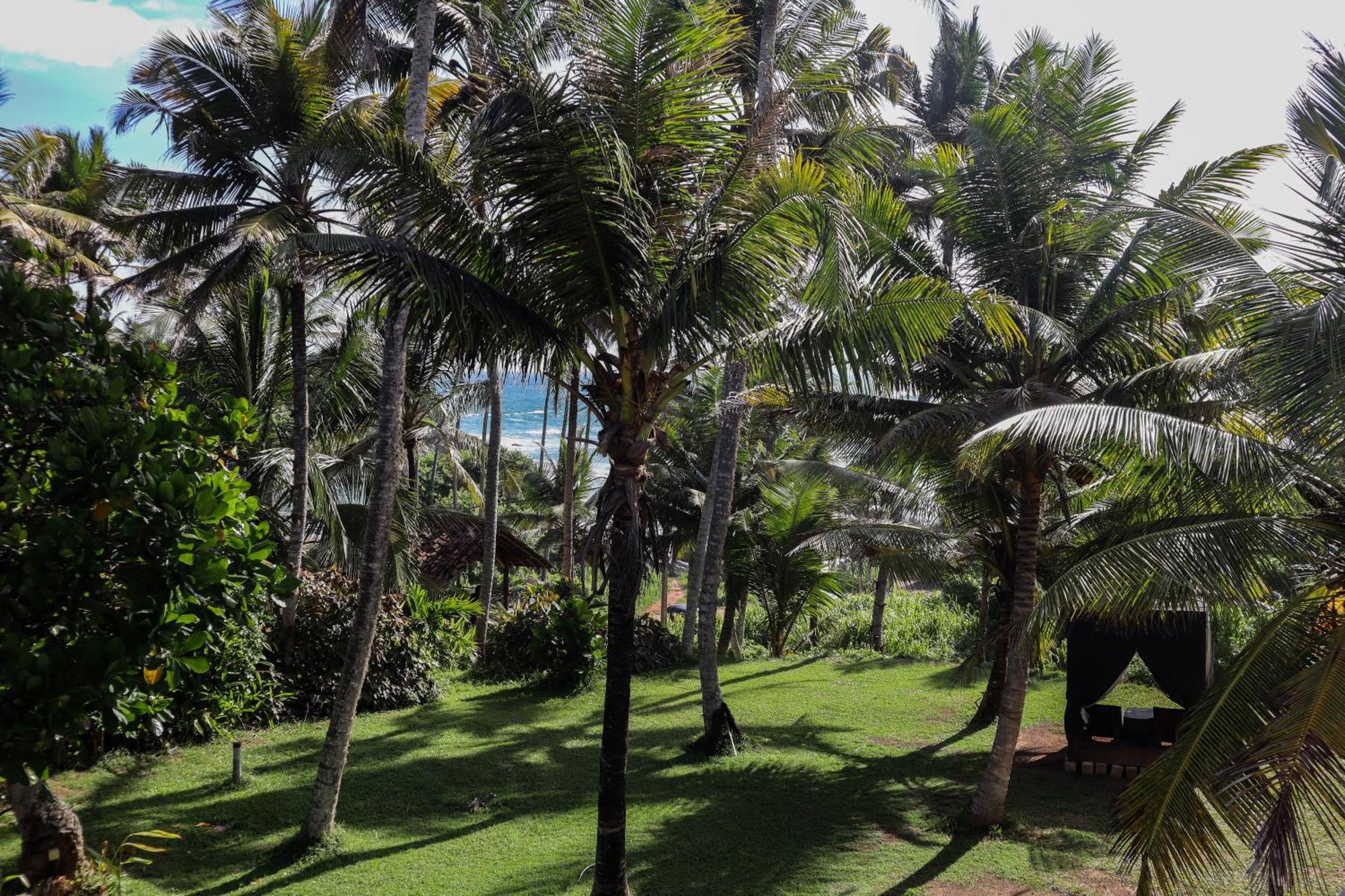 Singhe House Hotel Dikwella Ngoại thất bức ảnh