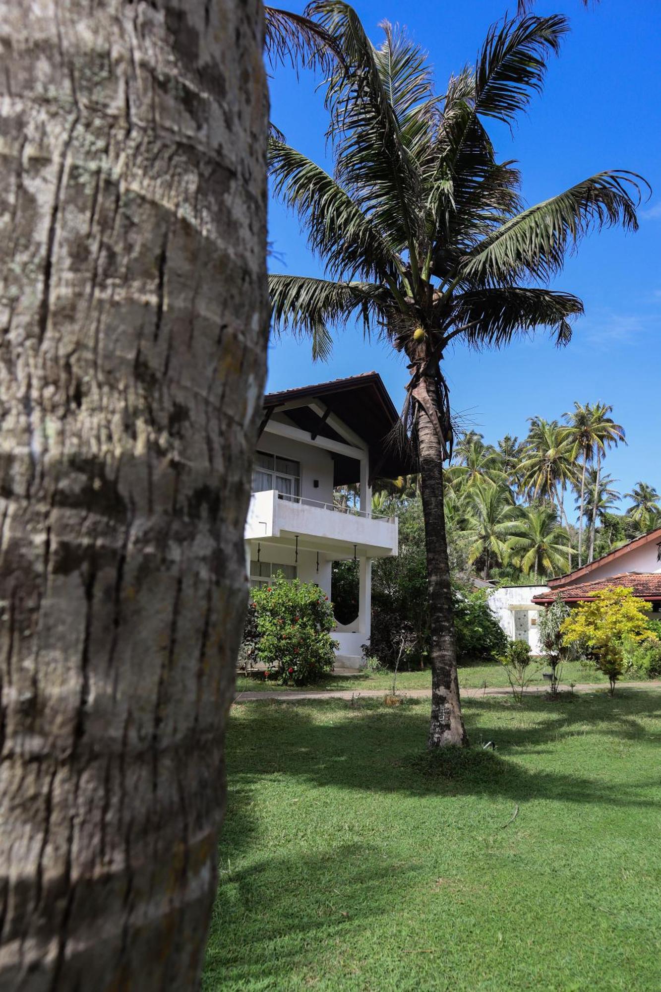 Singhe House Hotel Dikwella Ngoại thất bức ảnh